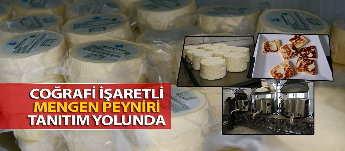 Coğrafi işaretli Mengen peyniri tanıtım yolunda