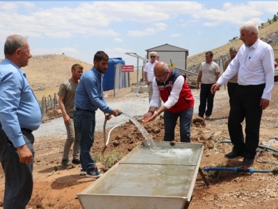Meralarda susuzluk bitti, göç durdu