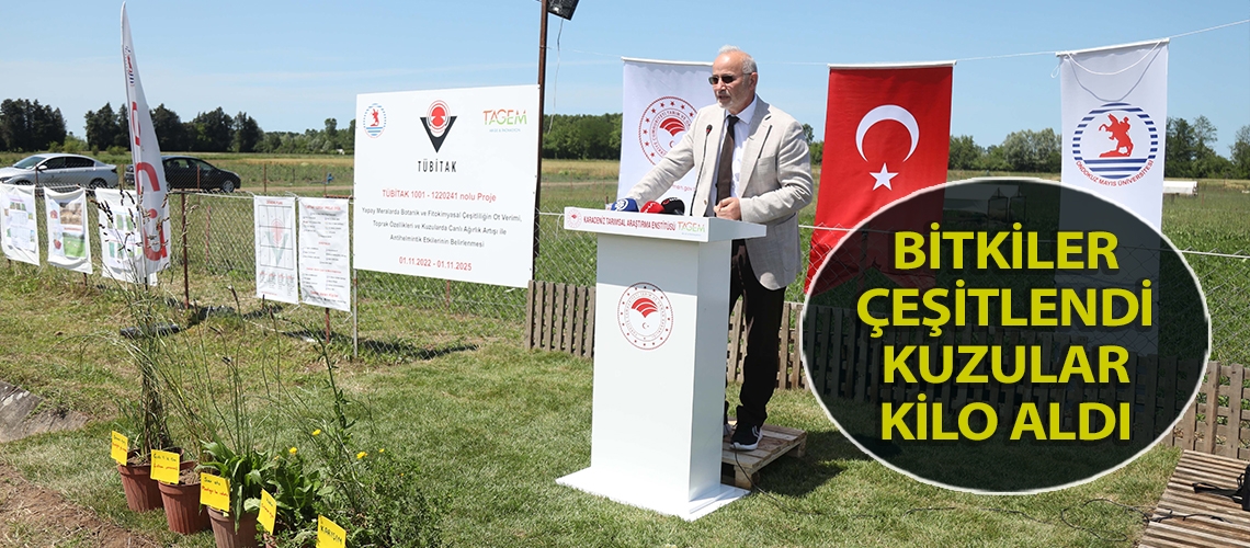 Bitkiler çeşitlendi kuzular kilo aldı