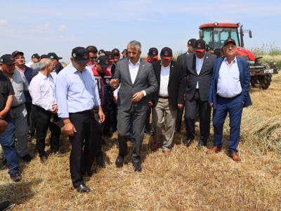 Mera ıslahı hayvancılık sektörünü güçlendiriyor