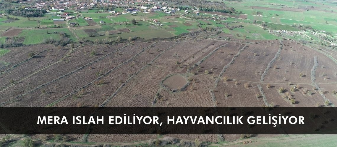 Mera ıslah ediliyor, hayvancılık gelişiyor