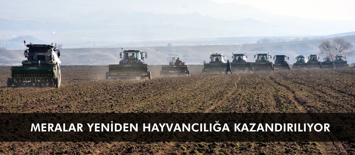 Meralar yeniden hayvancılığa kazandırılıyor