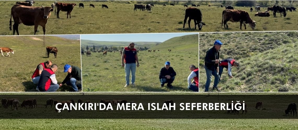 Çankırı'da mera ıslah seferberliği