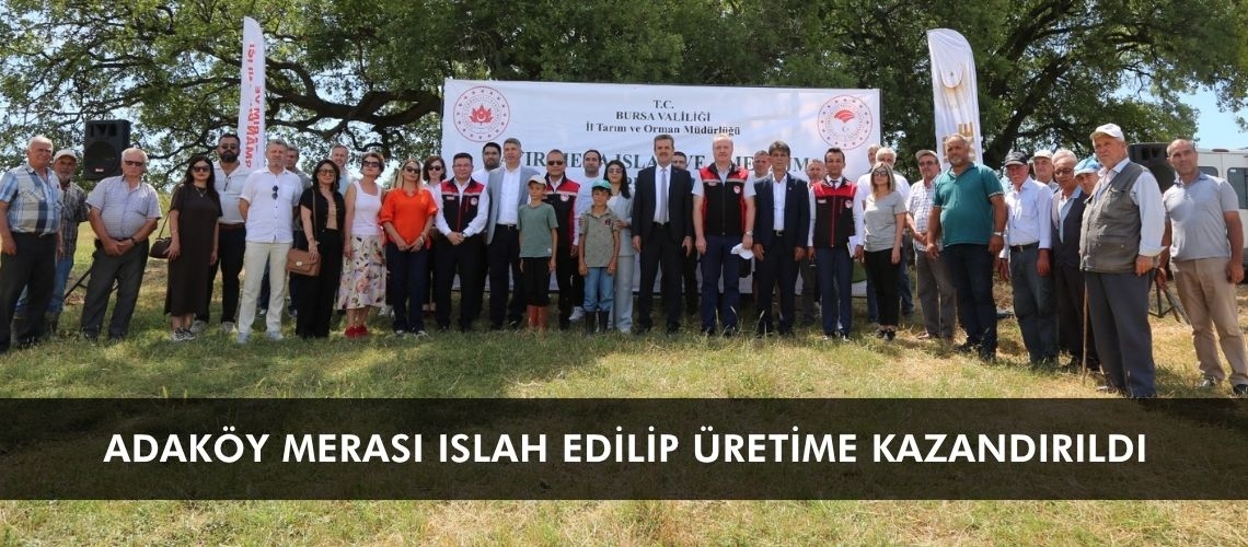 Adaköy merası ıslah edilip üretime kazandırıldı