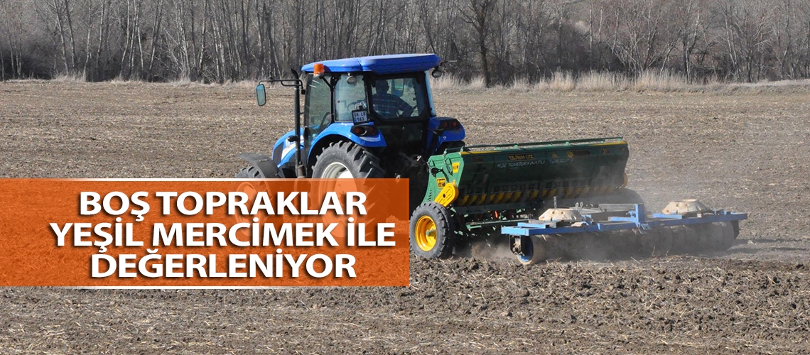 Boş topraklar yeşil mercimek ile değerleniyor