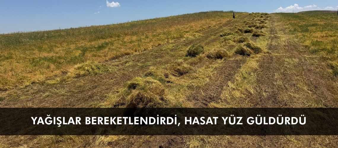 Yağışlar bereketlendirdi, hasat yüz güldürdü