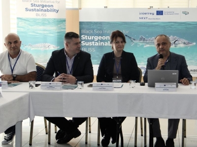 Mersin balığı için uluslararası iş birliği başladı