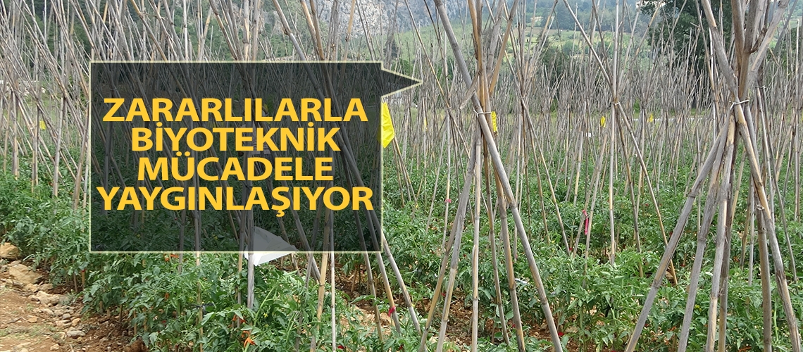 Zararlılarla biyoteknik mücadele yaygınlaşıyor