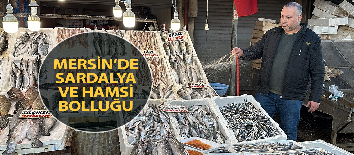 Mersin’de sardalya ve hamsi bolluğu