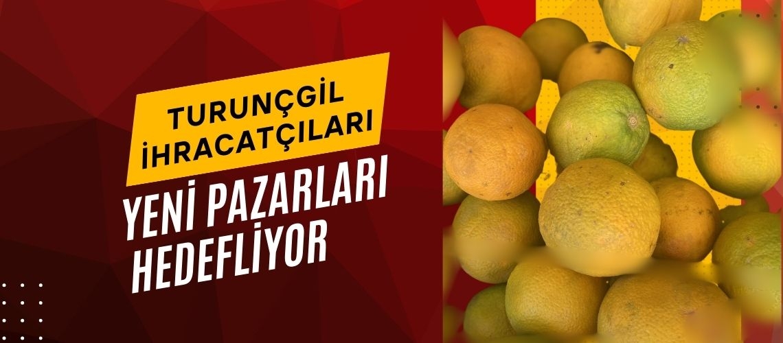 Turunçgil ihracatçıları yeni pazarları hedefliyor