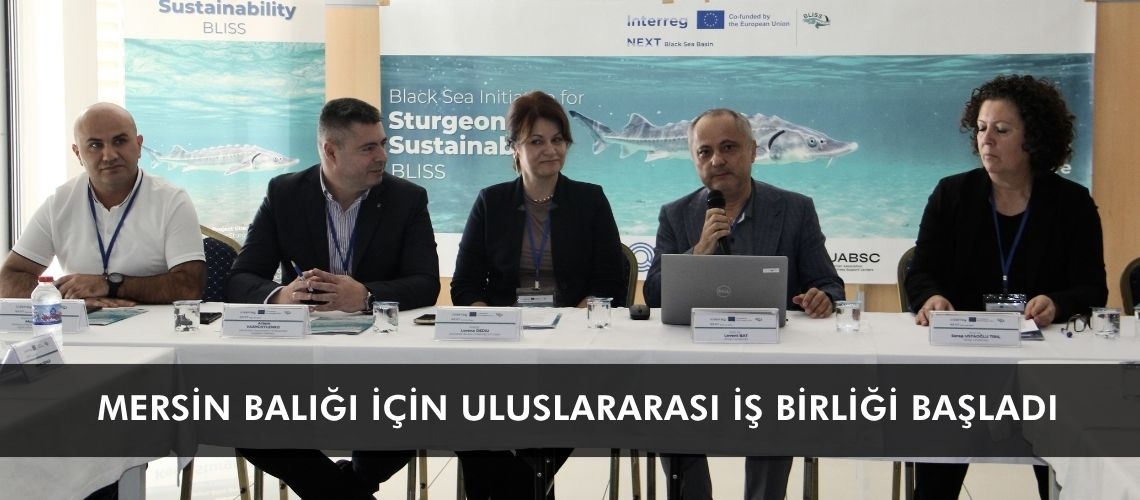 Mersin balığı için uluslararası iş birliği başladı