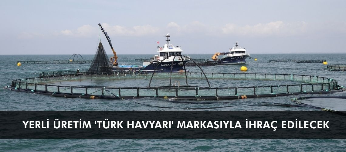 Yerli üretim 'Türk havyarı' markasıyla ihraç edilecek