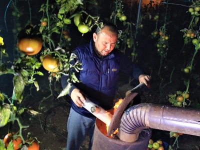 Seralarda zorlu kışla mücadele