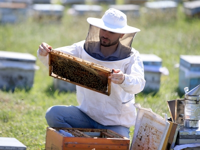 ‘Kırklareli meşe balı’nda kovan sayısı 2 katına çıktı
