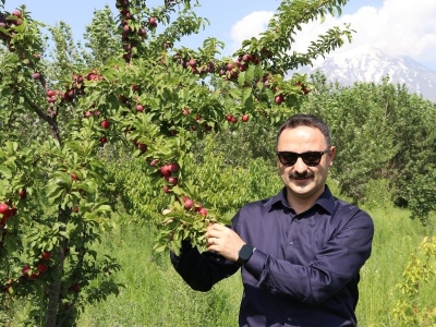 Çorak arazi meyve bahçesine dönüştü