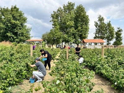 Genç çiftçiden yeni nesil meyve bahçesi