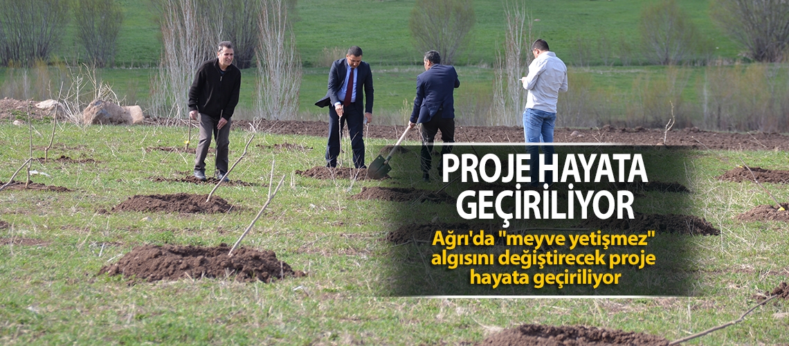 Meyve yetişmez diyenlere inat 19 bin fidan dikti
