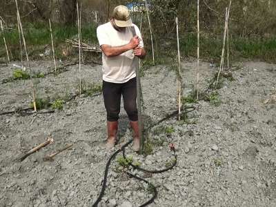 Yurt dışında gördüğü meyve, köyünde gelir kaynağı oldu