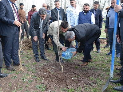 Meyve yetişmez diyenlere inat 19 bin fidan dikti