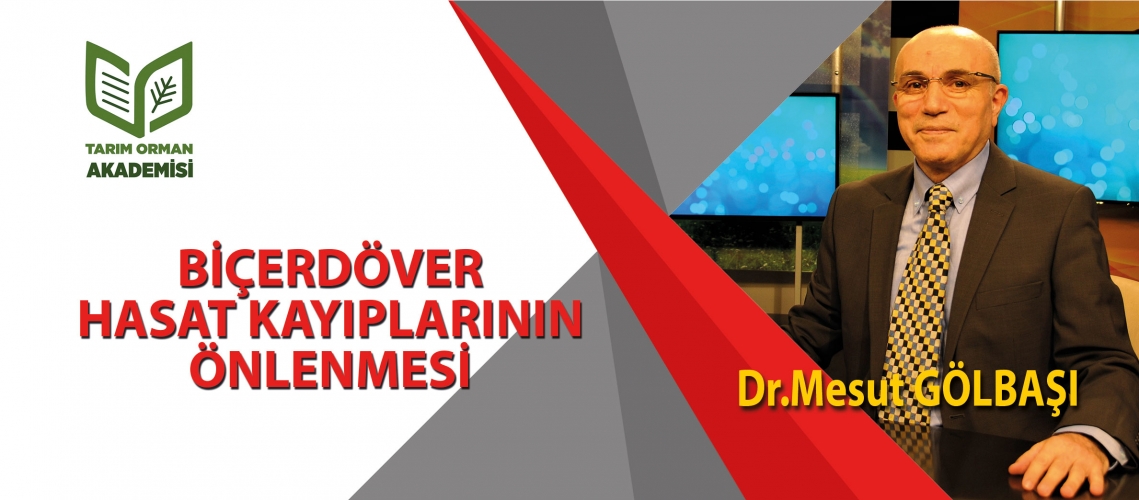 Biçerdöver Hasat Kayıplarının Önlenmesi