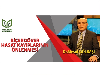 Biçerdöver Hasat Kayıplarının Önlenmesi