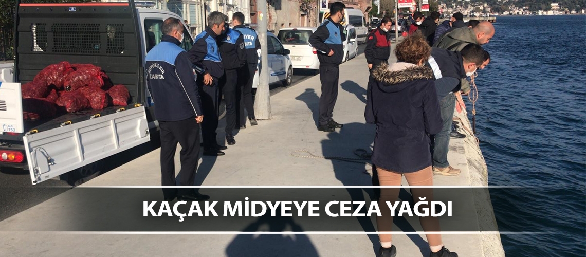Kaçak midyeye ceza yağdı