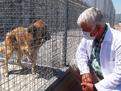 Eroğlu: Terk edeceğiniz hayvanı almayın