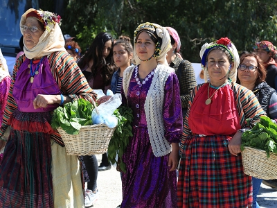 Milas ot festivaliyle şenlendi