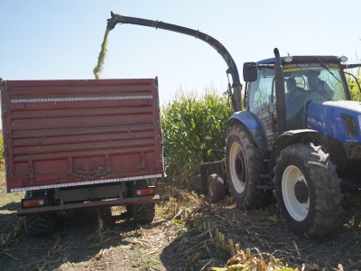 Çankırı’da silajlık mısır hasadı sürüyor