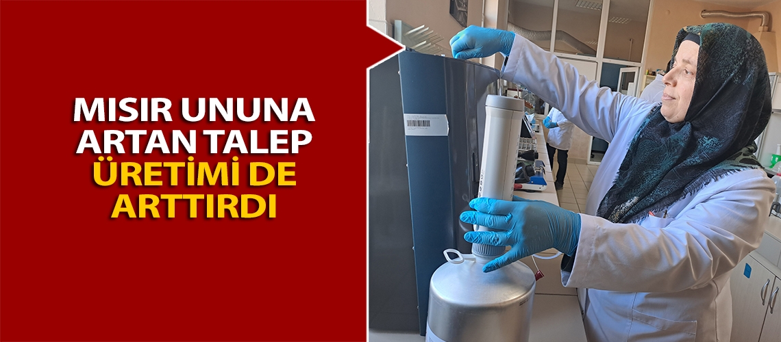 Mısır ununa artan talep üretimi de arttırdı