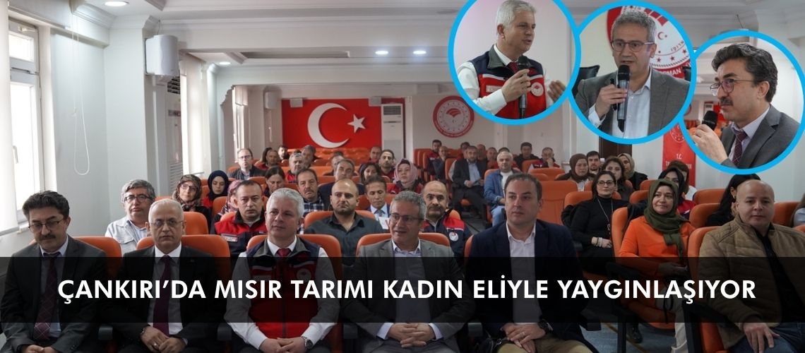 Çankırı’da mısır tarımı kadın eliyle yaygınlaşıyor