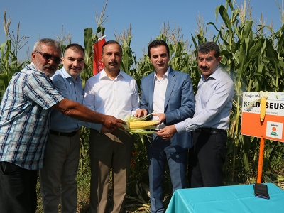 Yeni silajlık mısırlar Kestel’de tanıtıldı