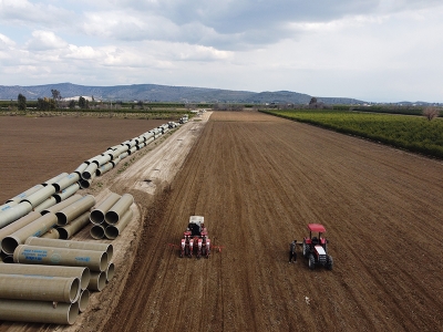Çukurova’da mısır ekimi başladı