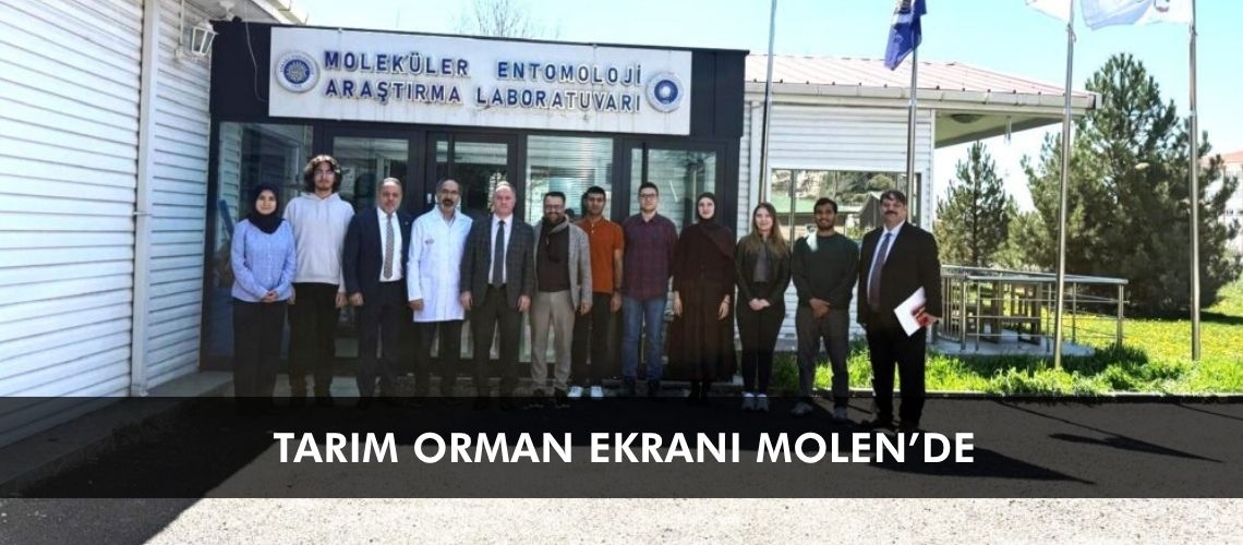 Tarım Orman Ekranı MOLEN’de