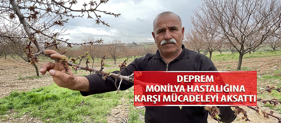 Deprem monilya hastalığına karşı mücadeleyi aksattı