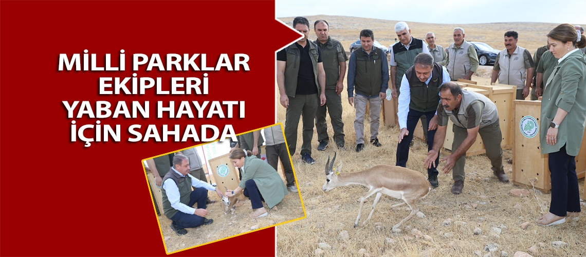 Milli Parklar ekipleri yaban hayatı için sahada