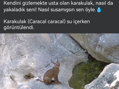 Milli Parklar ekipleri yaban hayatı için sahada