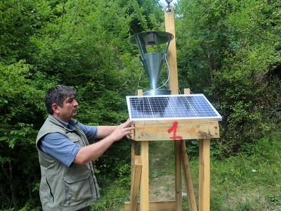 Şimşir güvesine karşı ışıklı tuzak