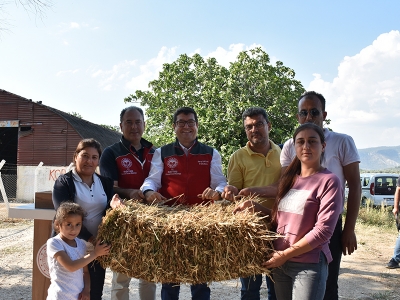 Milas’ta koyunlar destekle besleniyor