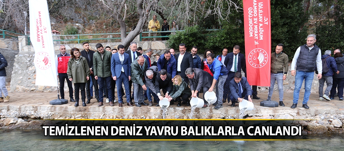 Temizlenen deniz yavru balıklarla canlandı