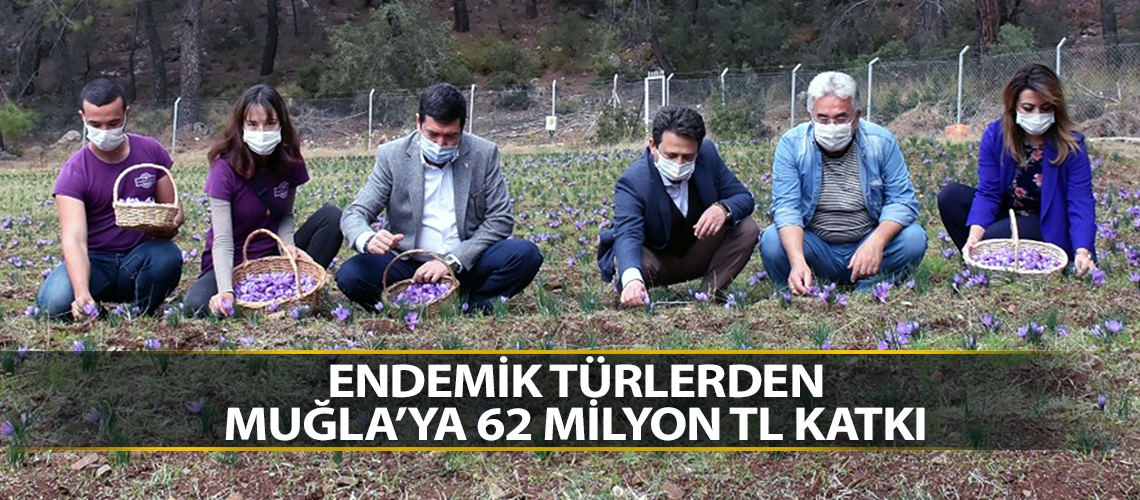 Endemik türlerden Muğla’ya 62 Milyon TL katkı
