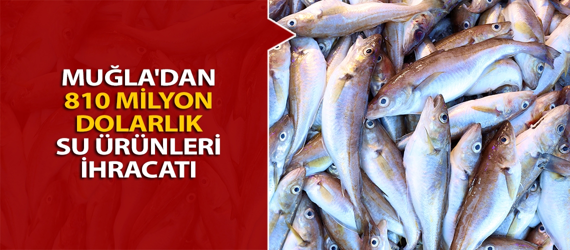 Muğla'dan 810 milyon dolarlık su ürünleri ihracatı