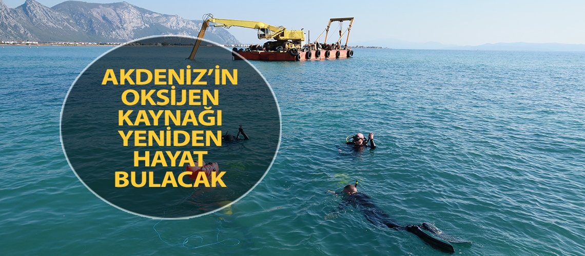 Akdeniz’in oksijen kaynağı yeniden hayat bulacak