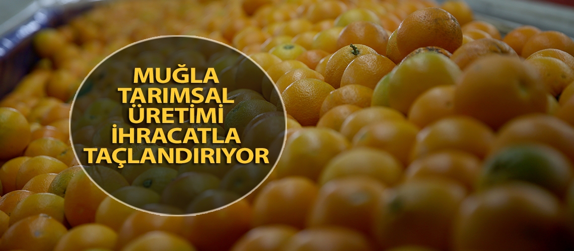 Muğla tarımsal üretimi ihracatla taçlandırıyor