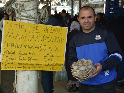 Kayın mantarı genç çiftçinin yüzünü güldürdü