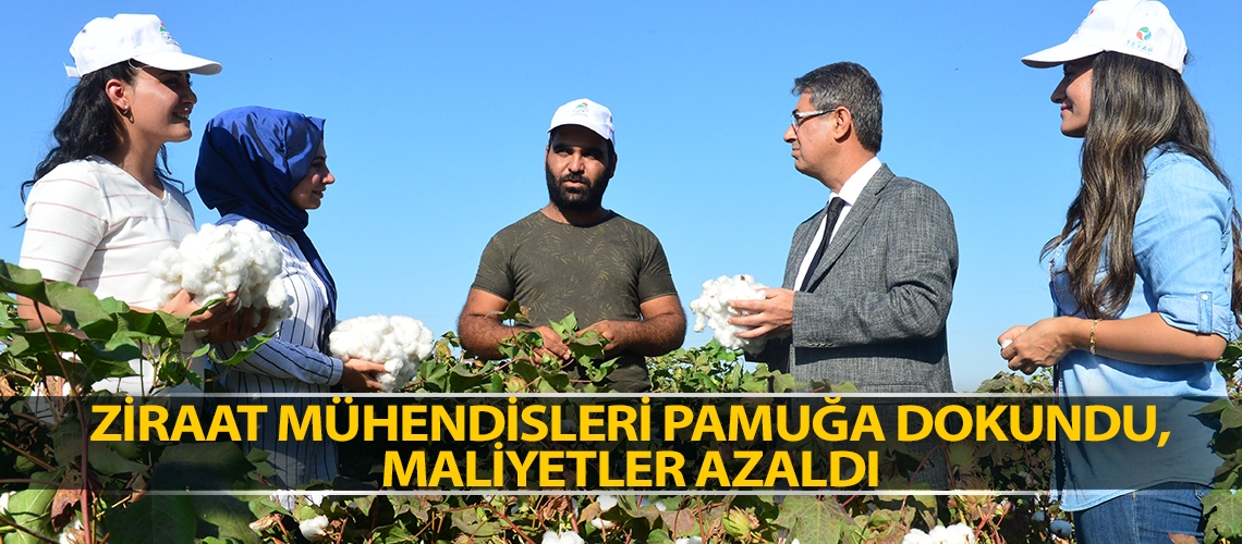 Ziraat mühendisleri pamuğa dokundu, maliyetler azaldı