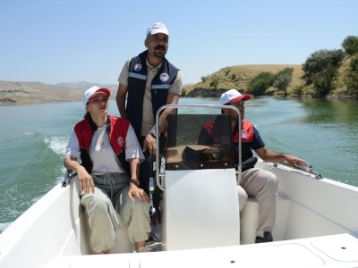 Muş'ta balık varlığı korunuyor