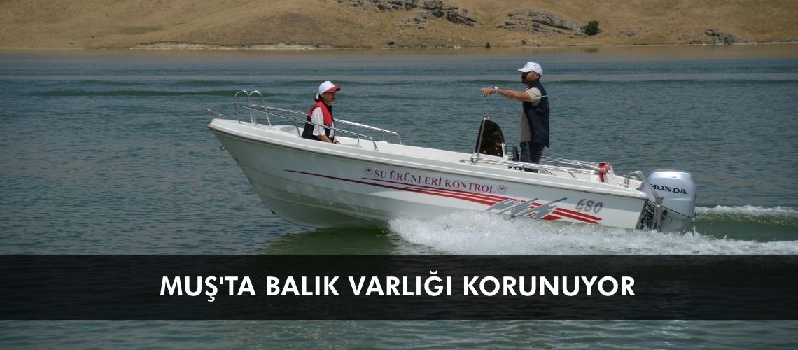 Muş'ta balık varlığı korunuyor
