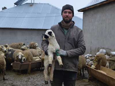 Yeni doğanlar besicilerin mesaisini artırdı