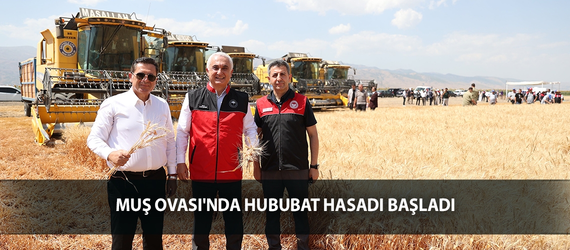 Muş Ovası'nda hububat hasadı başladı